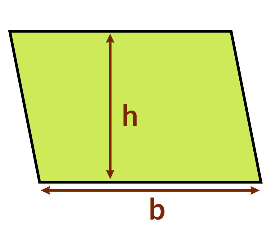 romboide
