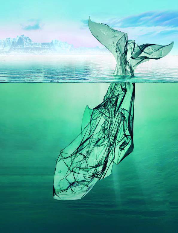 Imagen de portada del Texto del Estudiante de Ciencias para la Ciudadanía 3° y 4° Medio: una cola de ballena hecha de plástico transparente que emerge del mar