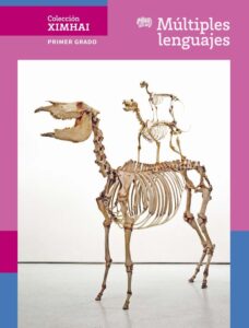 Portada de Múltiples lenguajes de primer grado de secundaria, colección Ximhai: fotografía del esqueleto de un caballo con un jinete esquelético sobre fondo blanco